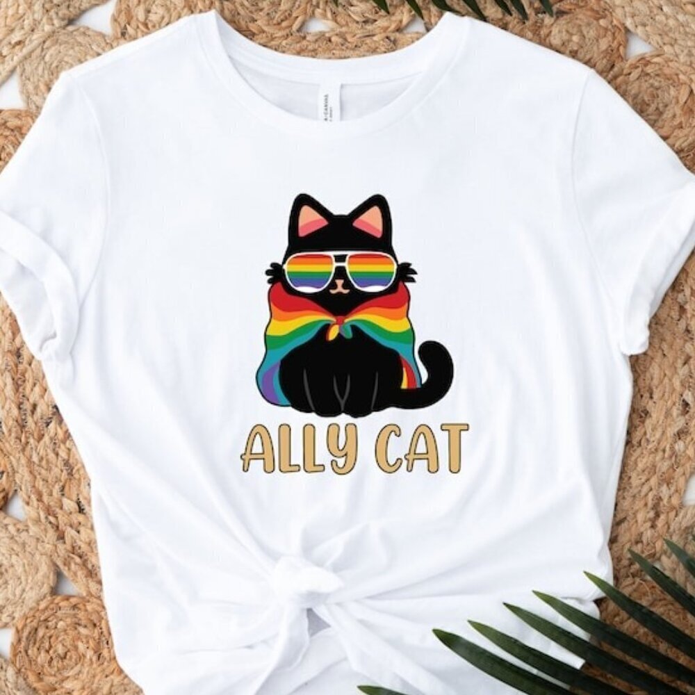Pride Ally Cat Shirt Retro Rainbow Colors Cat Ally Shirt Cat Pride Shirt